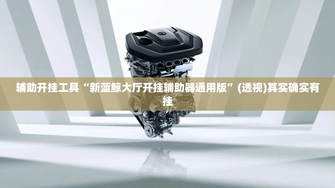 辅助开挂工具“新蓝鲸大厅开挂辅助器通用版”(透视)其实确实有挂