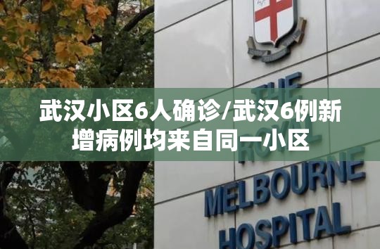 武汉小区6人确诊/武汉6例新增病例均来自同一小区