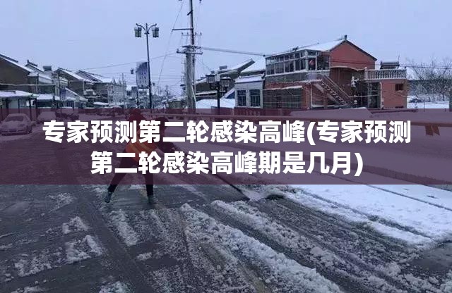 专家预测第二轮感染高峰(专家预测第二轮感染高峰期是几月)