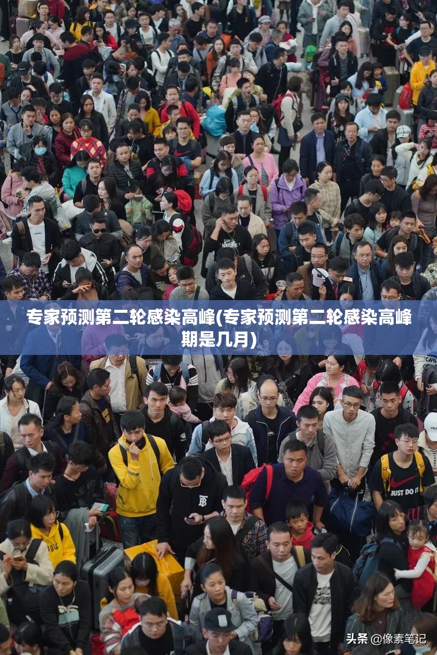 专家预测第二轮感染高峰(专家预测第二轮感染高峰期是几月)