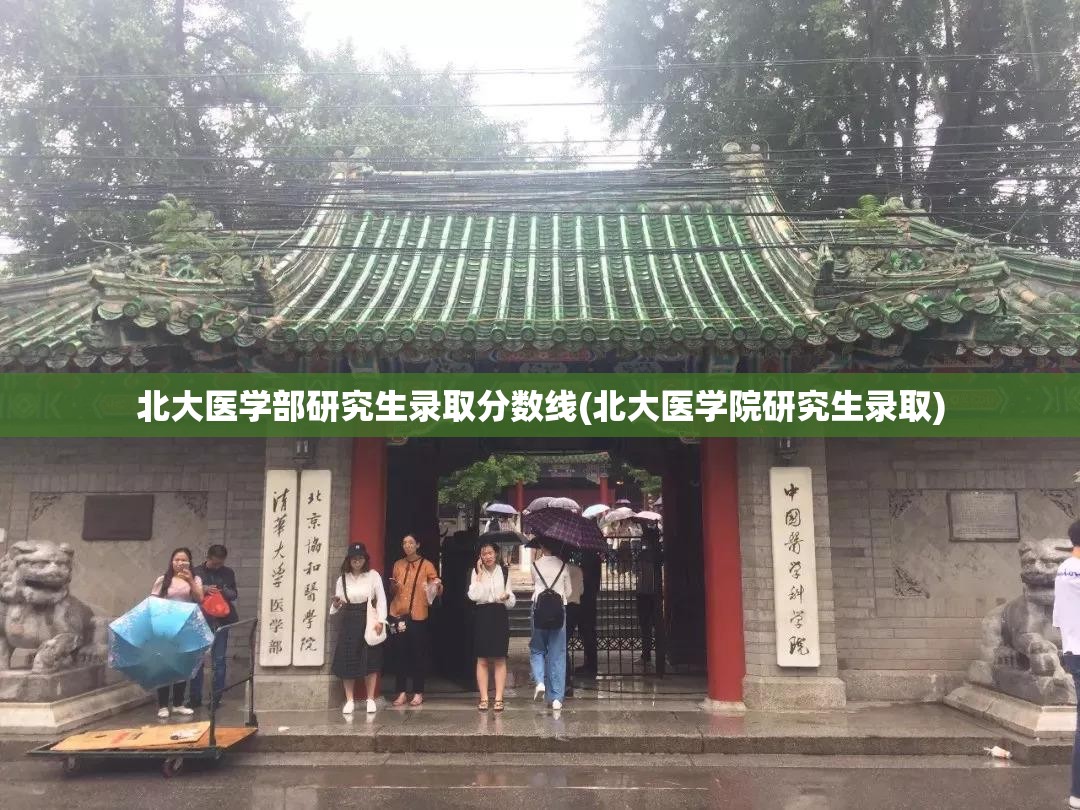 北大医学部研究生录取分数线(北大医学院研究生录取)