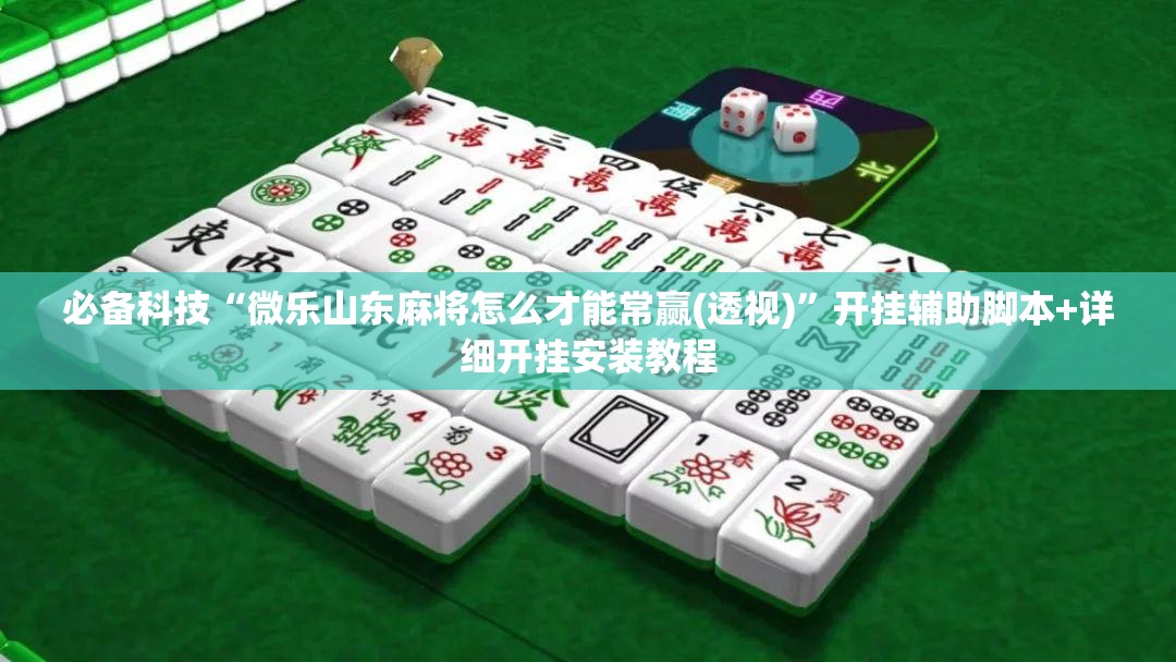 必备科技“微乐山东麻将怎么才能常赢(透视)”开挂辅助脚本+详细开挂安装教程