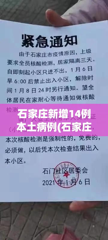 石家庄新增14例本土病例(石家庄新增11例本土病例)