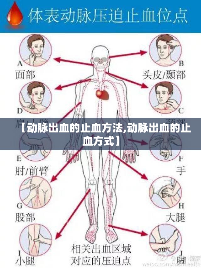 【动脉出血的止血方法,动脉出血的止血方式】 【动脉出血的止血方法,动脉出血的止血方式】