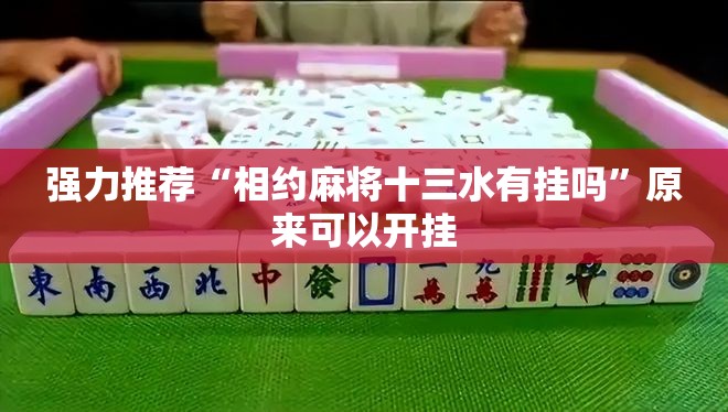 强力推荐“相约麻将十三水有挂吗”原来可以开挂