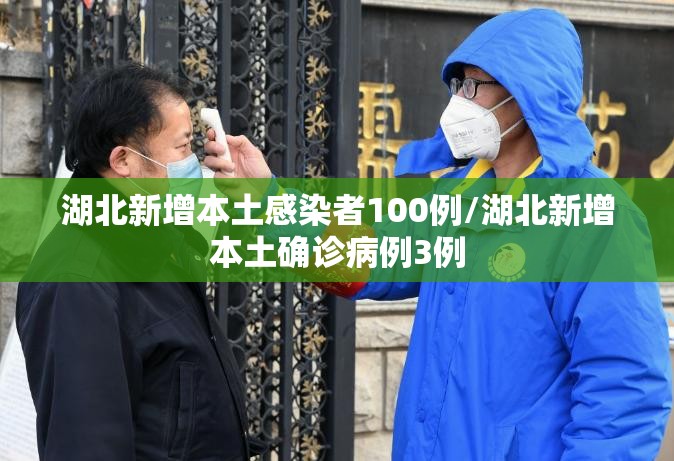 湖北新增本土感染者100例/湖北新增本土确诊病例3例 湖北新增本土感染者100例/湖北新增本土确诊病例3例