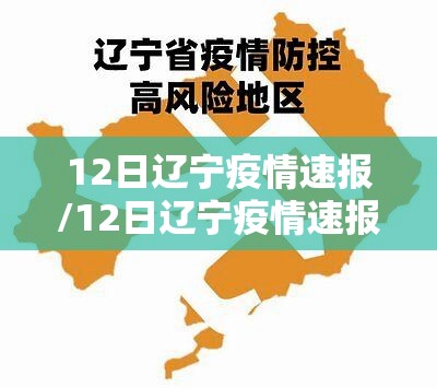 12日辽宁疫情速报/12日辽宁疫情速报图