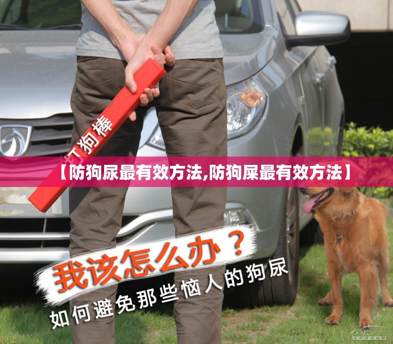 【防狗尿最有效方法,防狗屎最有效方法】