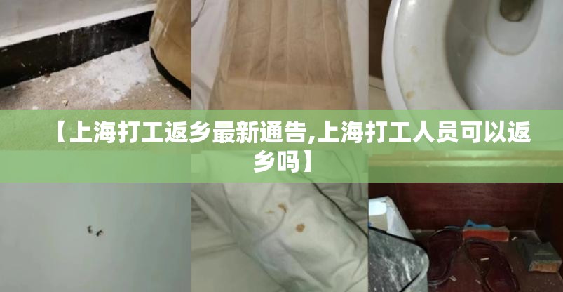 【上海打工返乡最新通告,上海打工人员可以返乡吗】 【上海打工返乡最新通告,上海打工人员可以返乡吗】