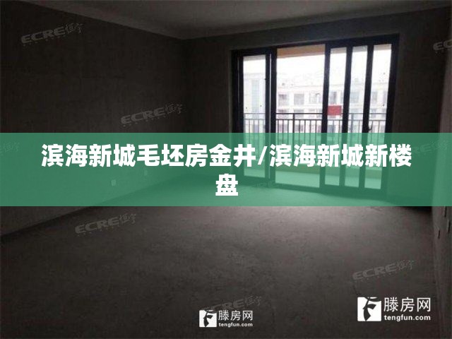 滨海新城毛坯房金井/滨海新城新楼盘 滨海新城毛坯房金井/滨海新城新楼盘