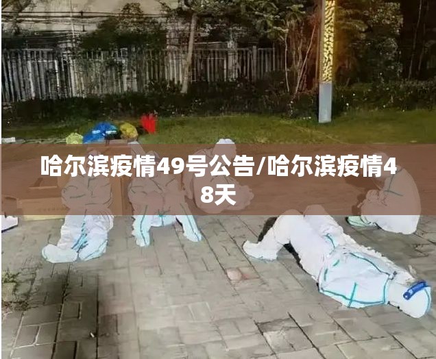 哈尔滨疫情49号公告/哈尔滨疫情48天 哈尔滨疫情49号公告/哈尔滨疫情48天