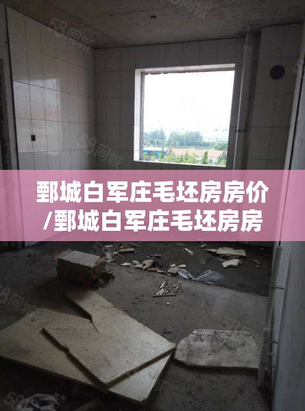鄄城白军庄毛坯房房价/鄄城白军庄毛坯房房价多少 鄄城白军庄毛坯房房价/鄄城白军庄毛坯房房价多少
