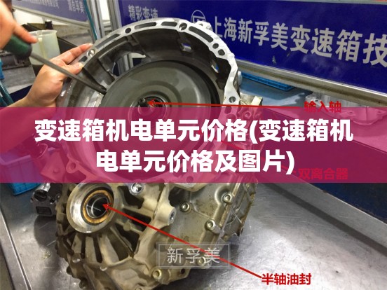 变速箱机电单元价格(变速箱机电单元价格及图片) 变速箱机电单元价格(变速箱机电单元价格及图片)