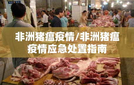 非洲猪瘟疫情/非洲猪瘟疫情应急处置指南 非洲猪瘟疫情/非洲猪瘟疫情应急处置指南