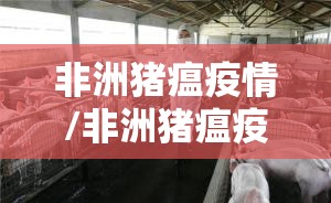 非洲猪瘟疫情/非洲猪瘟疫情应急处置指南 非洲猪瘟疫情/非洲猪瘟疫情应急处置指南