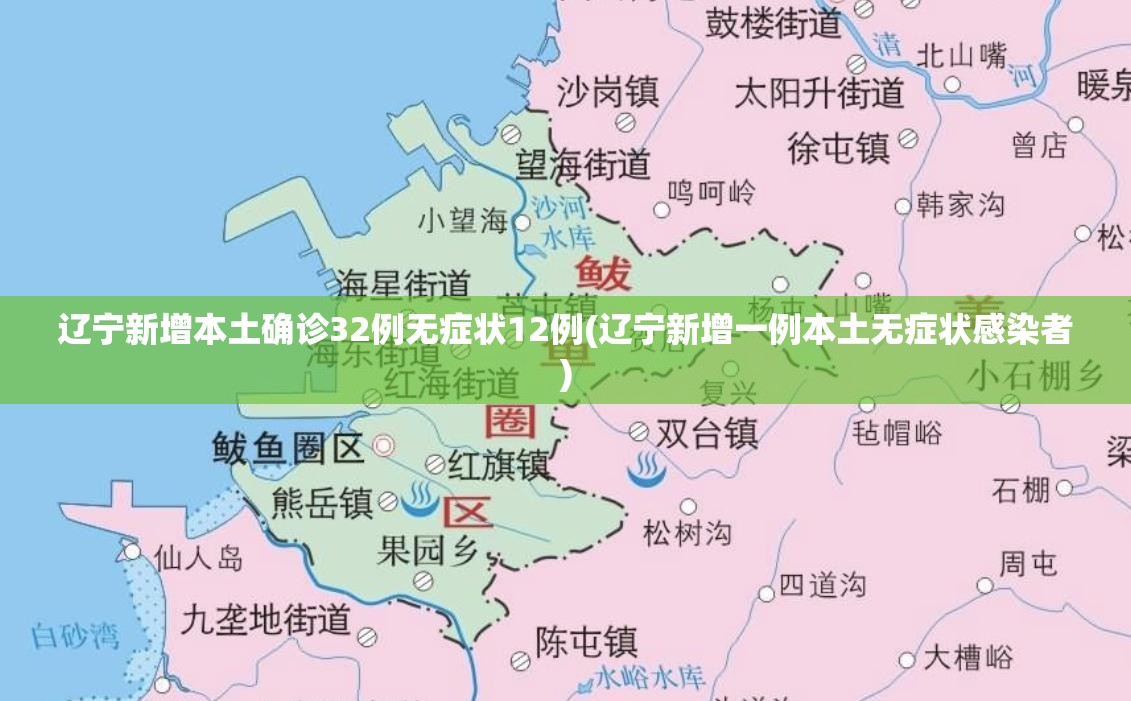 辽宁新增本土确诊32例无症状12例(辽宁新增一例本土无症状感染者)