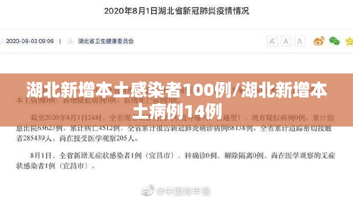 湖北新增本土感染者100例/湖北新增本土病例14例 湖北新增本土感染者100例/湖北新增本土病例14例