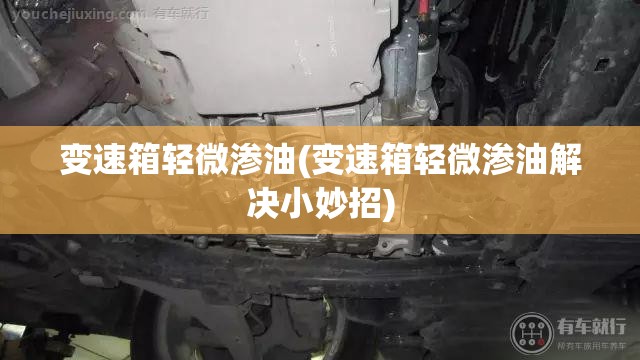 变速箱轻微渗油(变速箱轻微渗油解决小妙招)