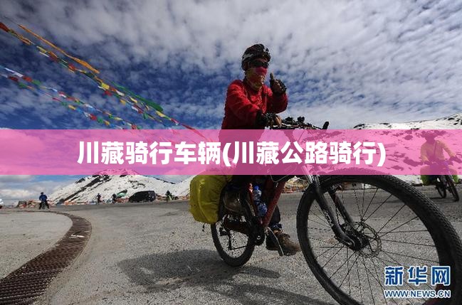 川藏骑行车辆(川藏公路骑行) 川藏骑行车辆(川藏公路骑行)