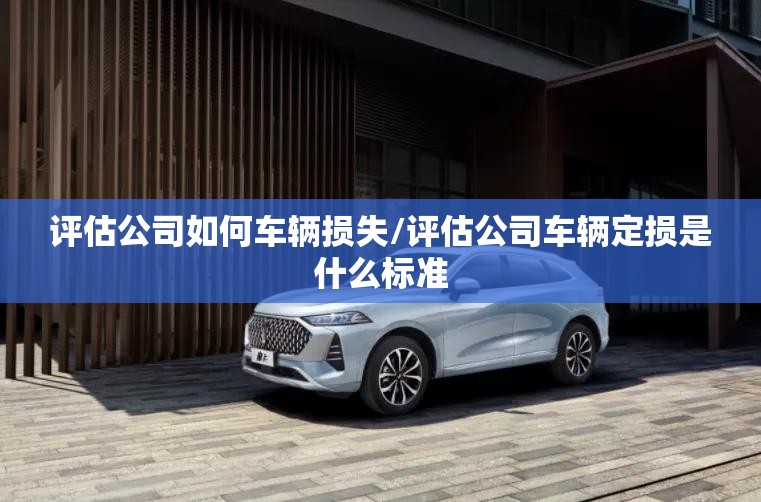 评估公司如何车辆损失/评估公司车辆定损是什么标准 评估公司如何车辆损失/评估公司车辆定损是什么标准