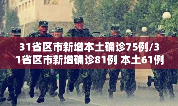 31省区市新增本土确诊75例/31省区市新增确诊81例 本土61例 31省区市新增本土确诊75例/31省区市新增确诊81例 本土61例