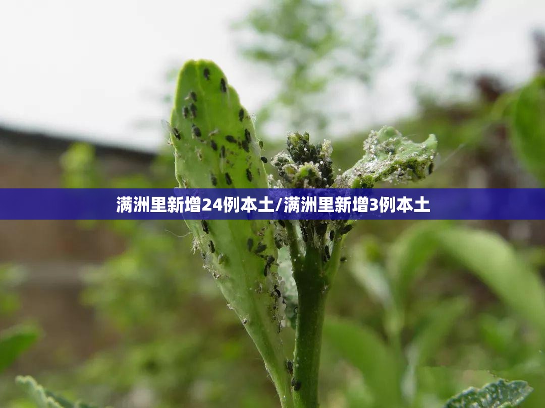 满洲里新增24例本土/满洲里新增3例本土