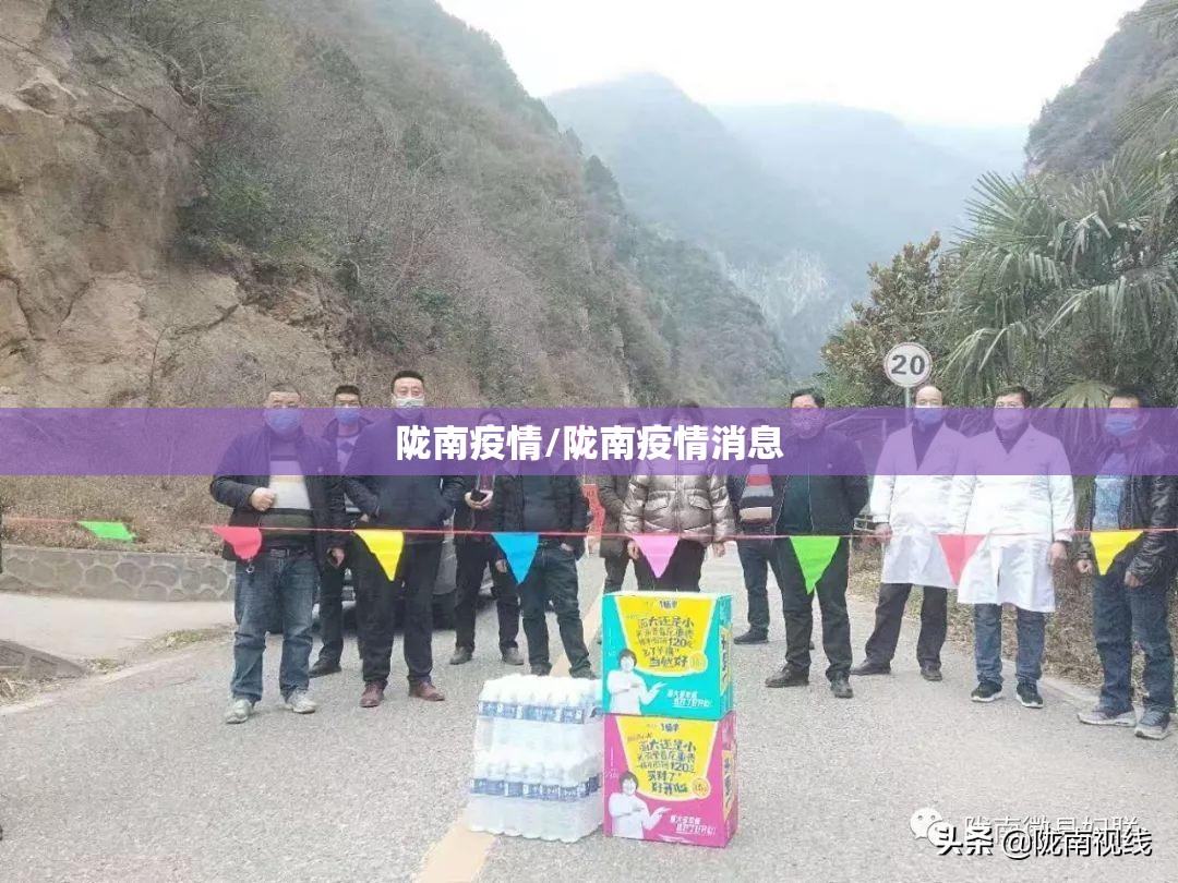 陇南疫情/陇南疫情消息