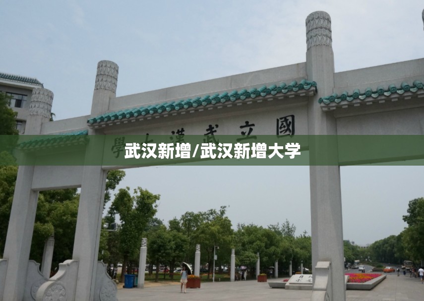武汉新增/武汉新增大学 武汉新增/武汉新增大学