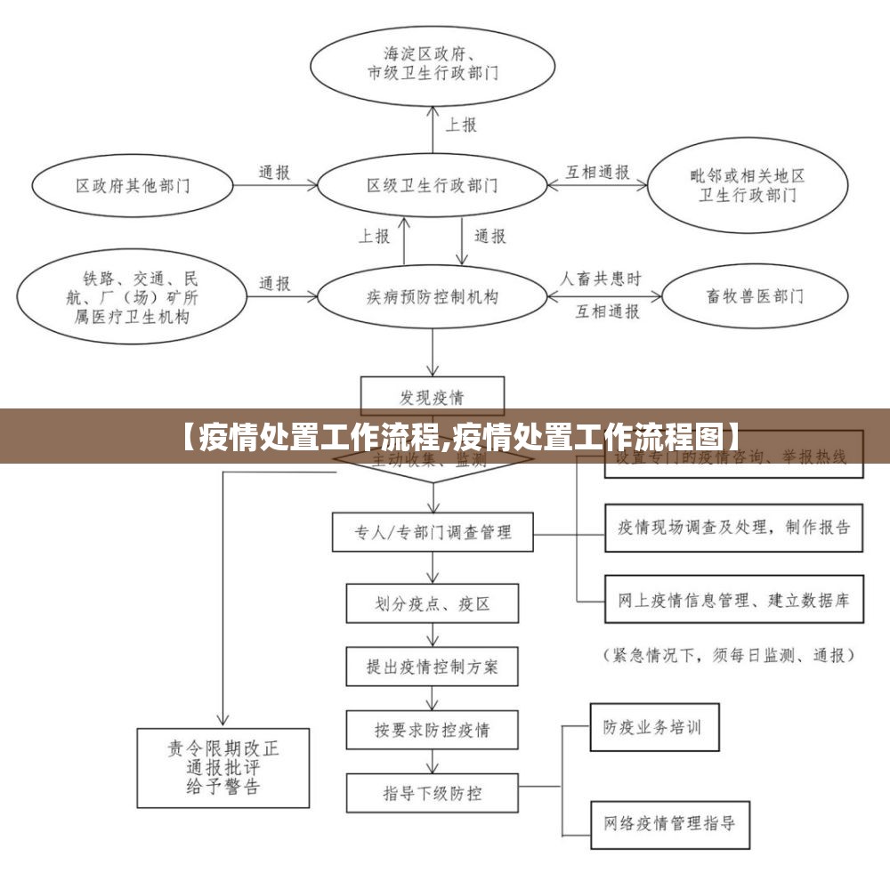 【疫情处置工作流程,疫情处置工作流程图】 【疫情处置工作流程,疫情处置工作流程图】