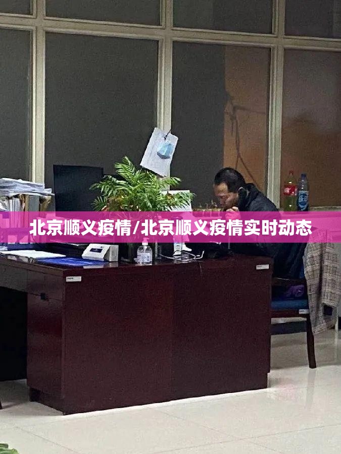 北京顺义疫情/北京顺义疫情实时动态 北京顺义疫情/北京顺义疫情实时动态