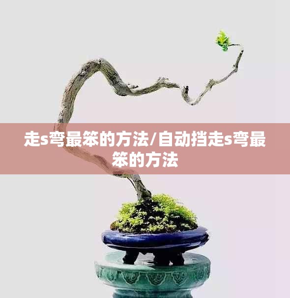 走s弯最笨的方法/自动挡走s弯最笨的方法 走s弯最笨的方法/自动挡走s弯最笨的方法