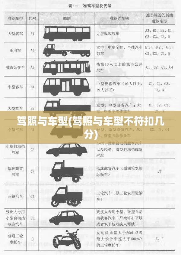 驾照与车型(驾照与车型不符扣几分) 驾照与车型(驾照与车型不符扣几分)