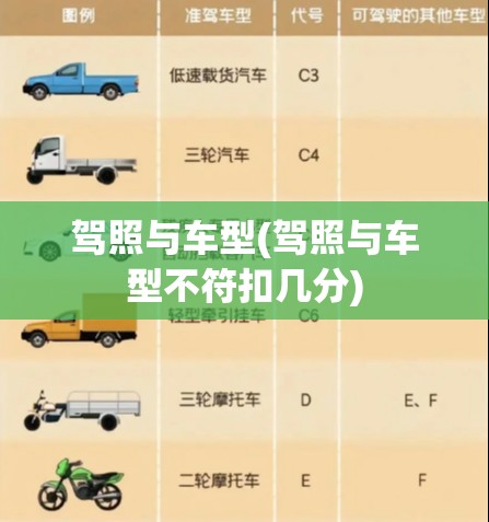 驾照与车型(驾照与车型不符扣几分) 驾照与车型(驾照与车型不符扣几分)