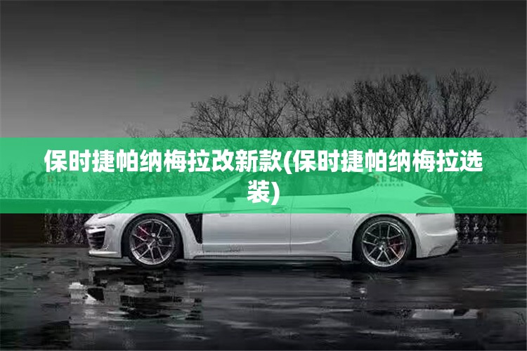 保时捷帕纳梅拉改新款(保时捷帕纳梅拉选装) 保时捷帕纳梅拉改新款(保时捷帕纳梅拉选装)