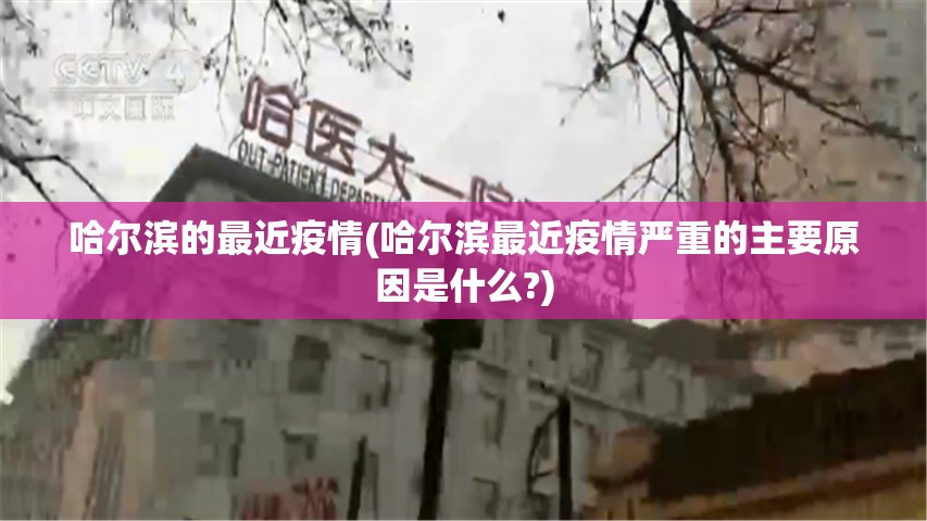 哈尔滨的最近疫情(哈尔滨最近疫情严重的主要原因是什么?) 哈尔滨的最近疫情(哈尔滨最近疫情严重的主要原因是什么?)