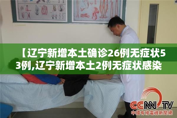 【辽宁新增本土确诊26例无症状53例,辽宁新增本土2例无症状感染6例】