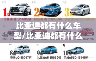 比亚迪都有什么车型/比亚迪都有什么车型车系 比亚迪都有什么车型/比亚迪都有什么车型车系