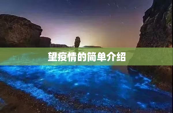 望疫情的简单介绍