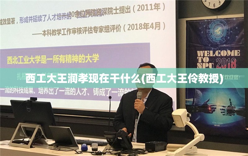 西工大王润孝现在干什么(西工大王伶教授)