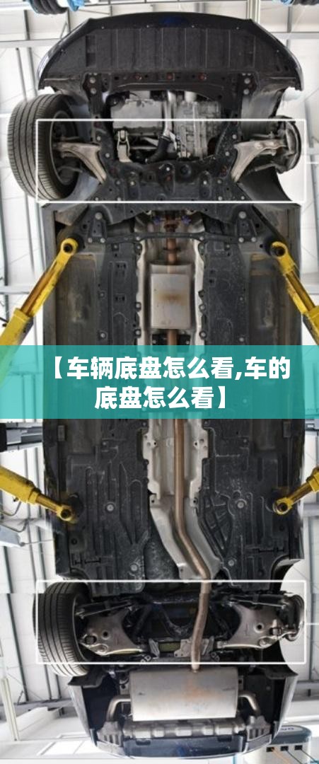 【车辆底盘怎么看,车的底盘怎么看】 【车辆底盘怎么看,车的底盘怎么看】