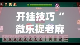 开挂技巧“微乐捉老麻子外卦神器最新版更新内”开挂(透视)辅助神器