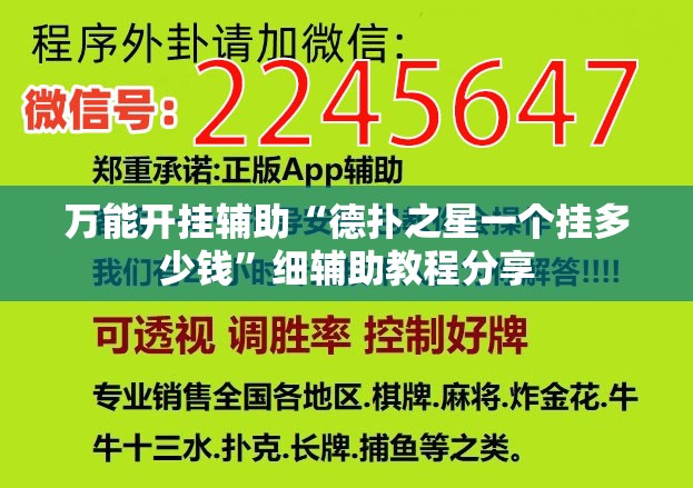 万能开挂辅助“德扑之星一个挂多少钱	”细辅助教程分享