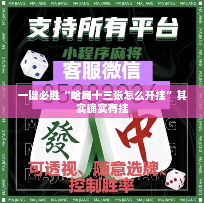 一键必胜“哈局十三张怎么开挂”其实确实有挂
