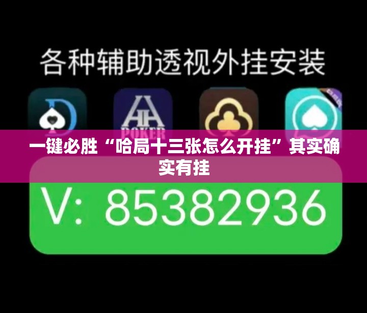 一键必胜“哈局十三张怎么开挂”其实确实有挂