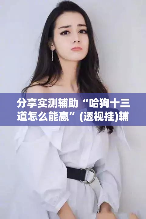 分享实测辅助“哈狗十三道怎么能赢	”(透视挂)辅助下载教程