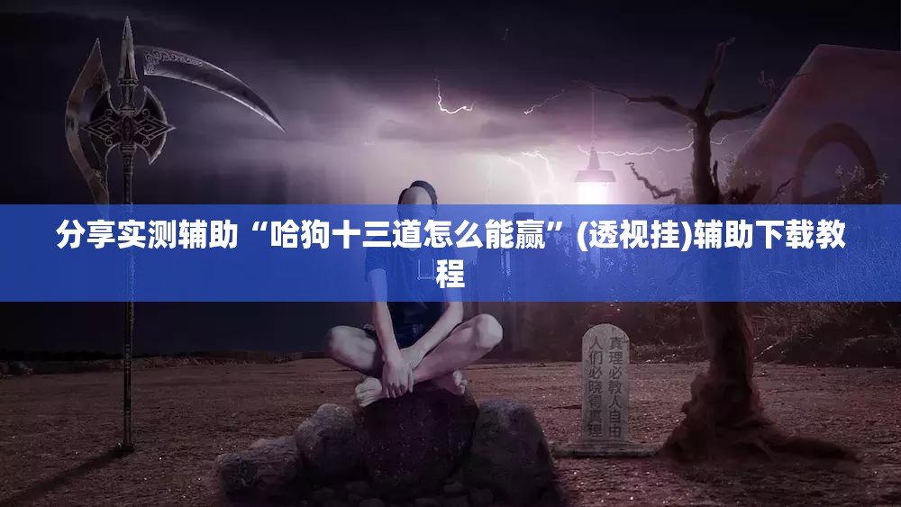 分享实测辅助“哈狗十三道怎么能赢”(透视挂)辅助下载教程