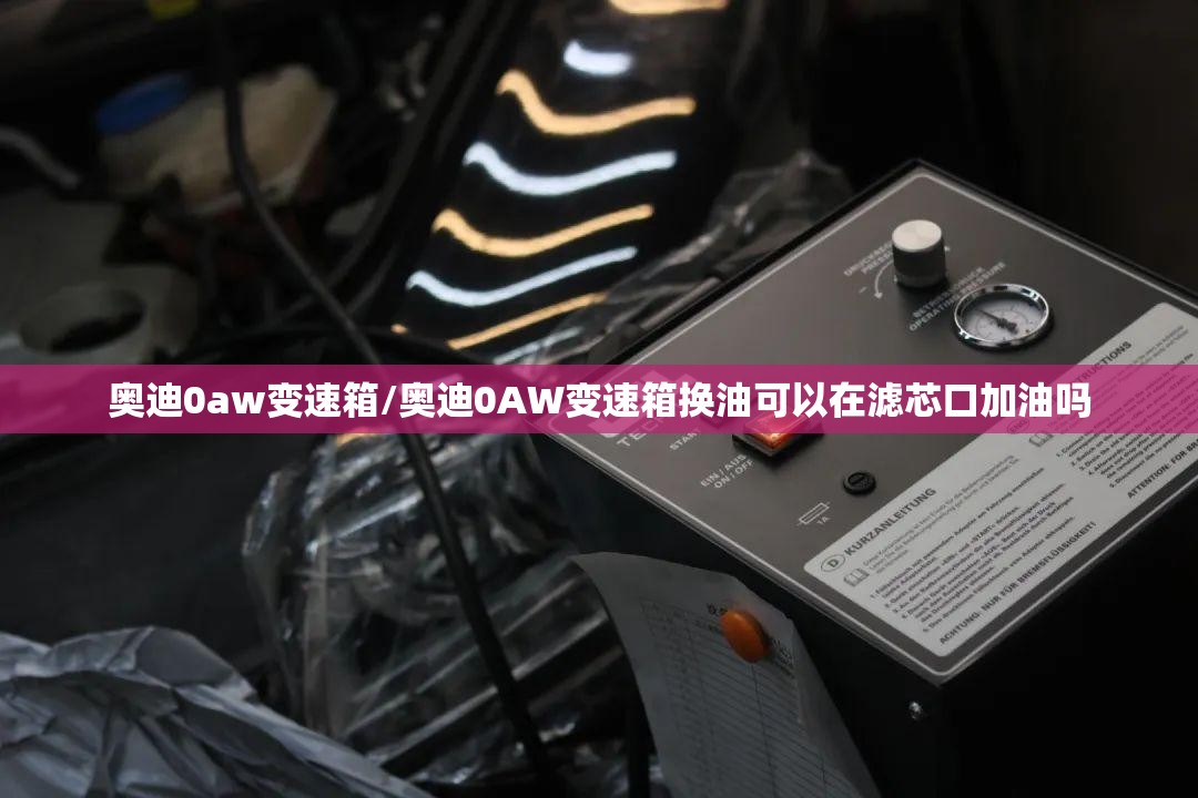 奥迪0aw变速箱/奥迪0AW变速箱换油可以在滤芯口加油吗