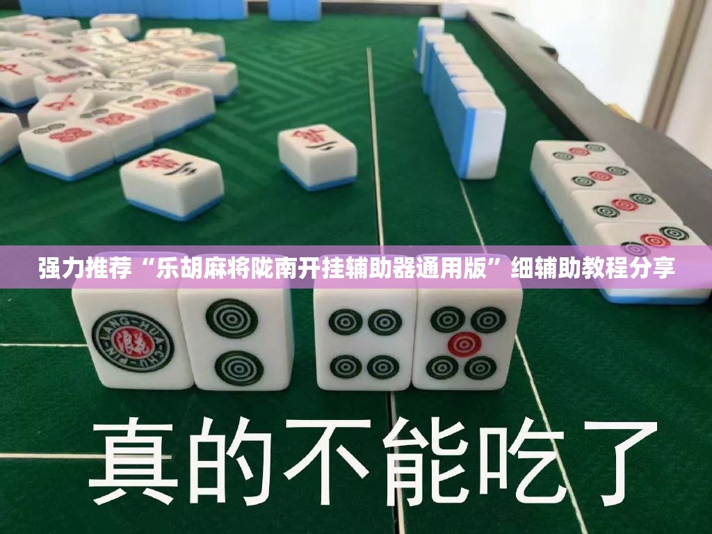 强力推荐“乐胡麻将陇南开挂辅助器通用版”细辅助教程分享