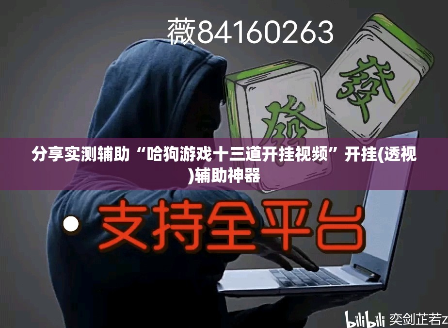 分享实测辅助“哈狗游戏十三道开挂视频”开挂(透视)辅助神器