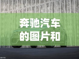 奔驰汽车的图片和价位(奔驰汽车图片新款) 奔驰汽车的图片和价位(奔驰汽车图片新款)